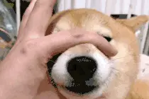 凌晨4点，阜阳一女生报警：手机掉厕所了…图片