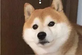 贵阳母亲喊女儿吃饭，孩子刚出房间就跪下了！得知原因，大人又惊又怒图片