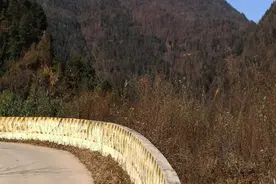 新发现古仇池国及唐宋时期字迹古迹考略图片