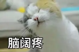 工伤1-4级人员还需要缴纳社保费吗？图片