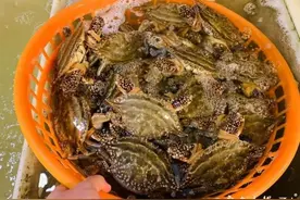 200元/斤！杭州人爱吃的这种美味，即将全面断档图片