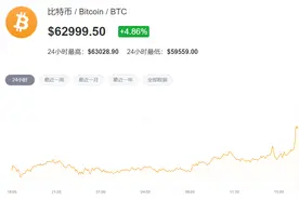 6.3万美元！比特币“涨疯”了，四个原因共同导致本轮牛市图片