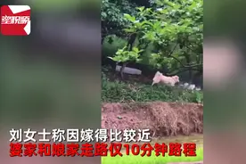 女子婚后住婆家，娘家狗子每天都来看她！网友：这是移动监视器吧图片