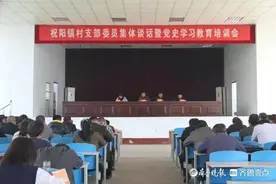 泰安：祝阳镇召开村党支部委员集体谈话暨党史学习教育培训会议图片