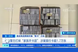 湖北警方打掉“家族开卡团”：一男子4年办了9207张银行卡图片