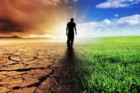 云南白药“奇葩”故事：巨资炒股一季度浮亏近8亿，主赛道失速，牙膏“一支独大”图片