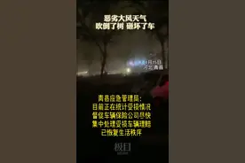 河北青县遭遇大风恶劣天气：吹倒了树，砸坏了车，现已恢复正常秩序图片