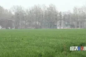 太窝火！投资数千万的“水利工程”，不能用！墙一抠，里面竟是塑料泡沫……图片