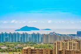 上海湾区丨交通、生态、旅游……带你了解金山的现在和未来图片