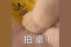 在网红民宿预订平台开发票被多收几百块 只因少了一个“勾”图片