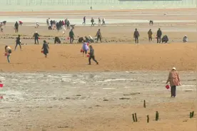 49秒｜捡贝壳、抓海星…外地游客赶海忙，日照多岛海景区旅游升温视频封面