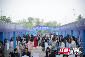 “万雁入衡”2021年衡阳大型人才引进活动（长沙站）举行图片