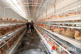 对环境的长久破坏图片
