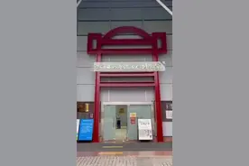 特写｜小护照背后的大国复兴路图片