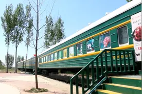 我国自主研制的蒸汽机车“开”进德州庆云公园 车厢竟藏着致富新花样图片