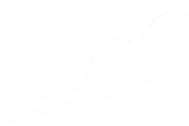 中秋假期去哪玩？雨后一起逛逛公园吧图片