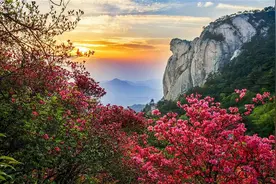 @身份证37、43开头居民，今年可免费游览黄冈A级景区图片