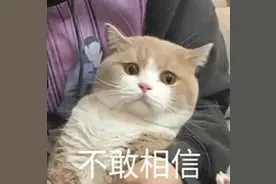 25岁青年逃出缅北的惊魂日夜图片