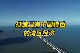 大湾区大未来 | 全球四大湾区 粤港澳大湾区最特别视频封面