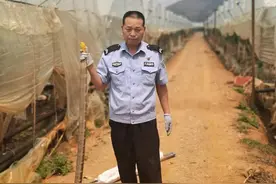 发凉！一条3米多长的眼镜王蛇，钻进了他的后背……图片