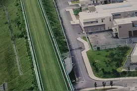 香港“马照跑”跑到从化来训练！内地有望在从化看到专业赛马比赛图片