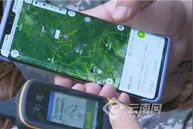 云南哀牢山自然保护区黑冠长臂猿种群数量增加图片
