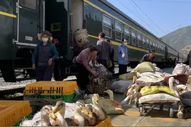 穿梭大凉山的慢火车：彝族百姓的“扶贫车”“求学车”图片
