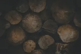 一课译词：杯水车薪图片