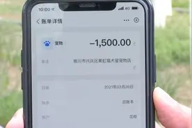 银川一女子买到“星期狗”，责任谁来担？图片