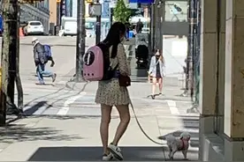 王祖贤温哥华街头被偶遇 穿短裙遛狗青春靓丽图片