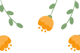 和风清沐，最美蔷薇图片