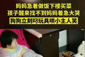 温馨一幕！孩子醒来找不到妈妈大哭，狗狗转身叼来玩具逗开心图片