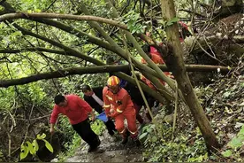 黄石86岁太婆上山挖笋失联，多方连夜搜山10余小时找回图片