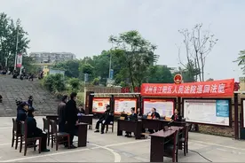 稀奇！非法收购2000多只癞蛤蟆…泸州这两名男子遭了图片