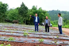 “帮村”变“兴村”四川西充12名“名誉村主任”不打烊图片