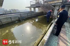 顶楼居民为隔热，竟在楼顶搭了近30平方米水池来养鱼图片