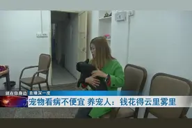 宠物看病比人还贵！养宠人不知钱花在哪？记者揭秘图片