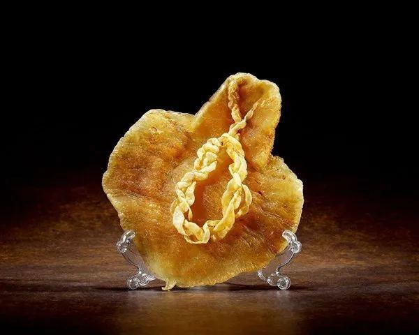 花胶对咳嗽功效与作用 2026年花胶对咳嗽功效与作用及禁忌