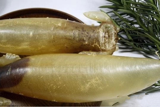 花胶 注意 2026年花胶食用前怎样处理最好