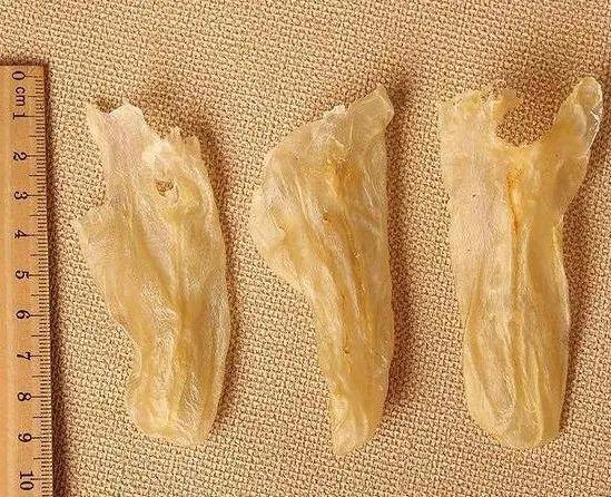 越南花胶 越南花胶功效与作用