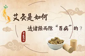 「健康解码」文碧玲：艾灸是如何透诸经而除“百病”的？图片