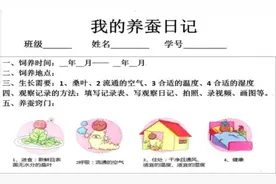 晚潮｜三年级小朋友养蚕手册图片