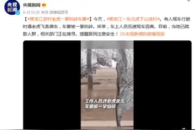 黑龙江进村老虎一掌拍碎车窗图片