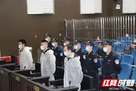 “三倍”惩罚性赔偿84万余元 新化检察对一起制售假药案提起公诉图片