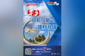 冀有特色·以特制胜②|平乡：“双轮”驱动，提档升级图片