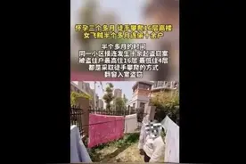 孕妇徒手攀爬16层高楼，连偷十余户！只因她有一个爱好图片