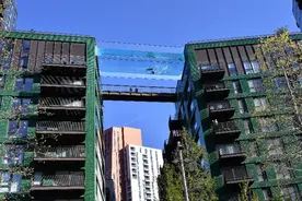 世界首座全透明“空中泳池”悬浮两栋楼间，游泳还得看胆量图片
