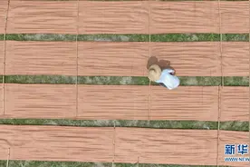 走近香云纱图片