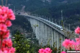铁路串起大别山革命老区 沿线焕发勃勃生机图片