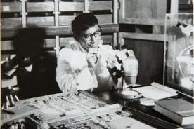 养蚊子的人图片